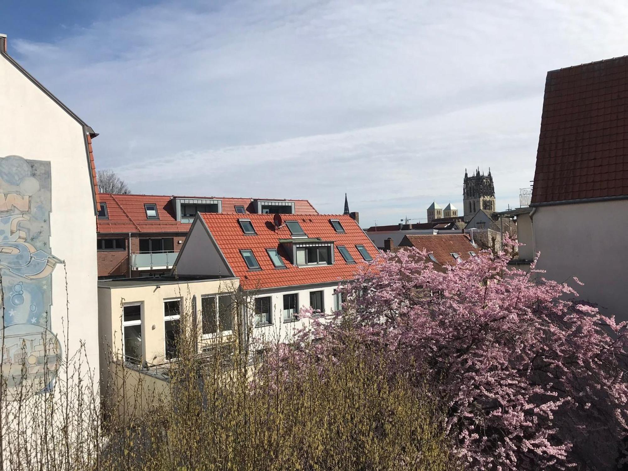 Lemperdenkmal Muenster Διαμέρισμα Εξωτερικό φωτογραφία